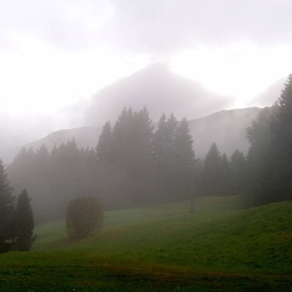 _nd38429.jpg