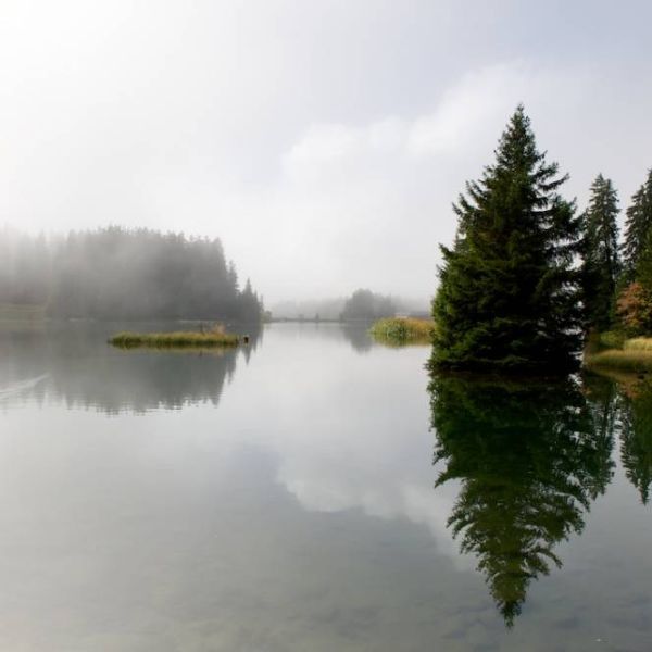 _nd38639.jpg