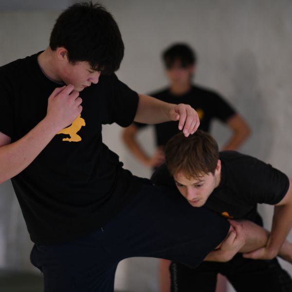dsc-6658.jpg